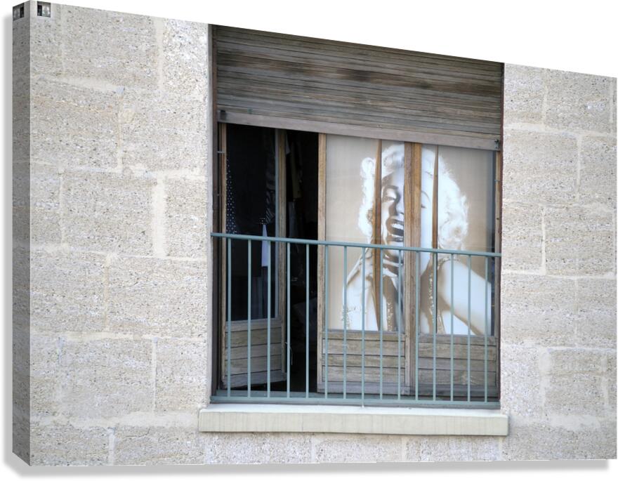 KO FR 18082 Canvas Print