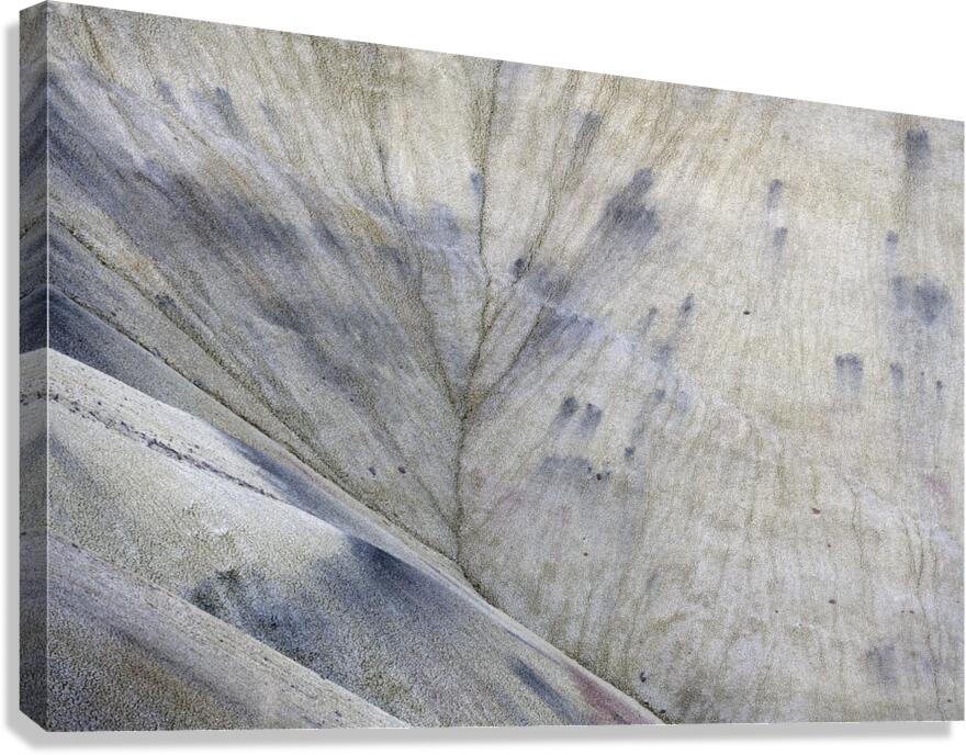 John Day Fossil Beds National Monument Oregon Canvas Print