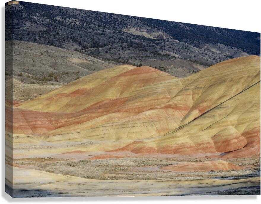John Day Fossil Beds National Monument Oregon Canvas Print