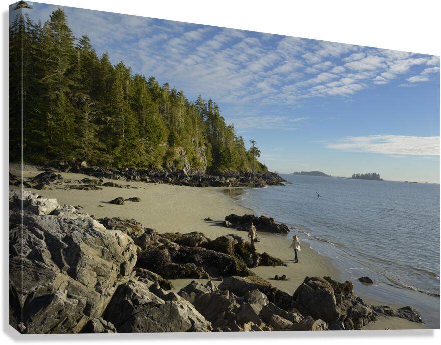 Tonquin Beach Tofino British Columbia Canvas Print