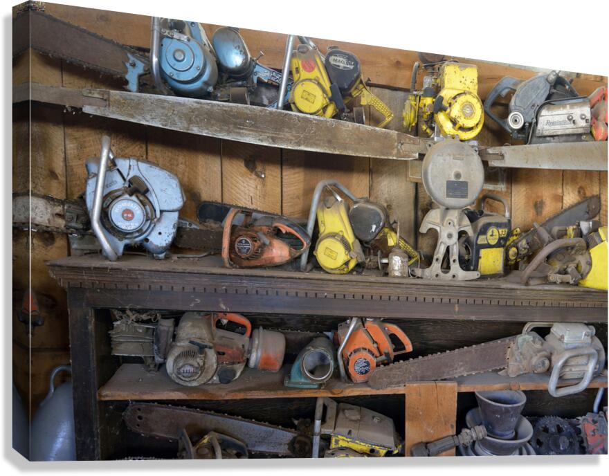 KO B40719 Canvas Print