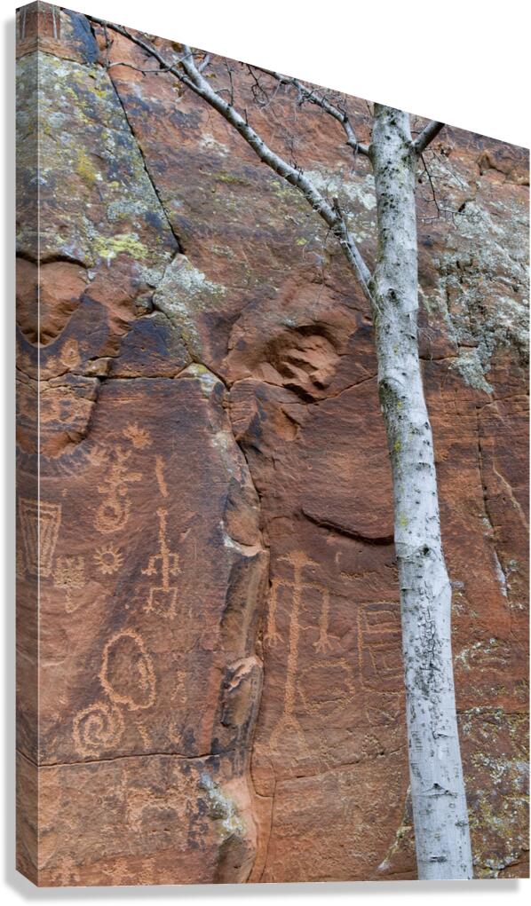 Ancient petroglyphs showcasing animal figures and geometric designs Crane Petroglyph Site Verde Valley Arizona Canvas Print