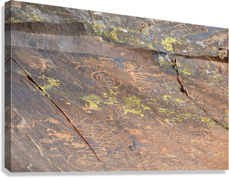 Ancient petroglyphs showcasing animal figures and geometric designs Crane Petroglyph Site Verde Valley Arizona Canvas Print