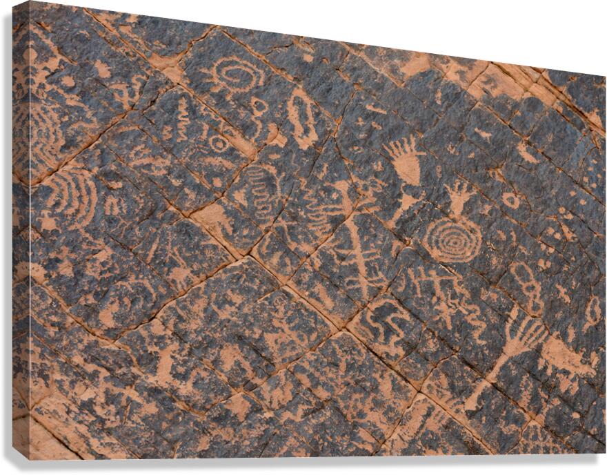 KO D22499 Canvas Print