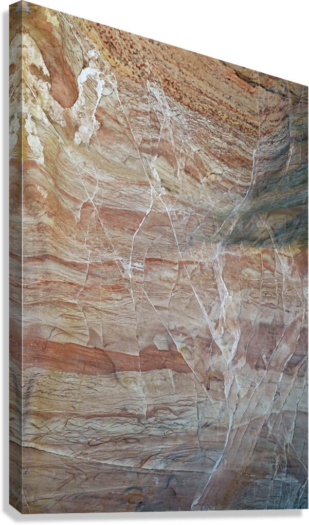 KO B77250 Canvas Print