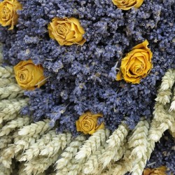Dried yellow roses and lavender - Lourmarin