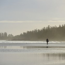 Man walking with surfboard through the mist Long Beach Pacific Rim National Park