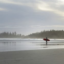 Surfing at Long Beach