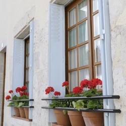 Potted red geraniums in a window Châtillon sur Loire Centre France