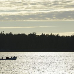 Backlit small boat coming into Tofino