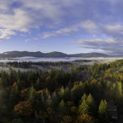 Spring Rays - Vancouver Island