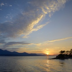 Sunset over Vancouver Island with silhouetted trees