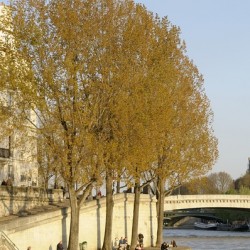 Enjoying a warm spring day on the banks of the Seine River - Paris