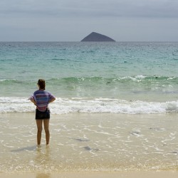 Looking out to sea at Punta Cormorant Floreana Island Galapagos Islands Ecuador