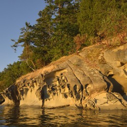 Wave etched sandstone cliff - Tent Island