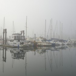 Foggy harbour - San Juan Island