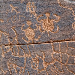 Ancient petroglyphs showcasing animal figures and geometric designs Crane Petroglyph Site Verde Valley Arizona