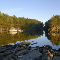 Pleasure boats at the wharf in Conover Cove