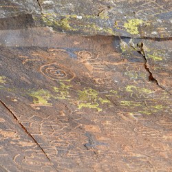 Ancient petroglyphs showcasing animal figures and geometric designs Crane Petroglyph Site Verde Valley Arizona