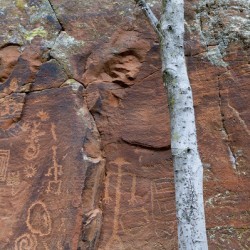 Ancient petroglyphs showcasing animal figures and geometric designs Crane Petroglyph Site Verde Valley Arizona