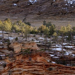 Zion National Park Utah