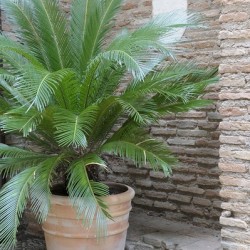 The Alhambra Granada Andalusia Spain