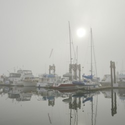 Fog in the harbour - San Juan Island