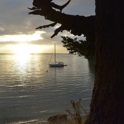 Calm sunset - James Island - San Juan Islands