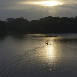 Canoeing on Lake Garzacocha at sunset La Selva Amazon Ecolodge Orellana Ecuador