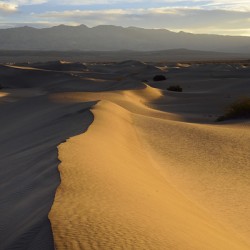 Mesquite Flat Sand Dunes at sunrise