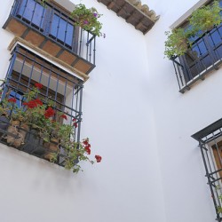 Windows with potted plants  Mondragons Palace Ronda Málaga Andalusia Spain