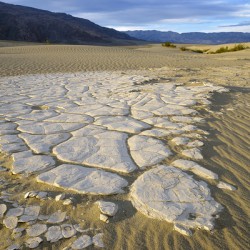 Dried mud exposed on the rippled sand - Mesquite Flat Sand Dunes