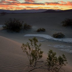 Mesquite Flat Sand Dunes
