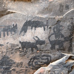 Black petroglyphs of animals Palatki Ruins Arizona USA