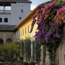 Patio de la Acequia   Generalife The Alhambra Granada Andalusia Spain