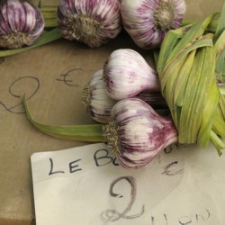 Fresh red garlic at the Lourmarin market
