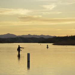 Fishing at sunset Patagonia Lake