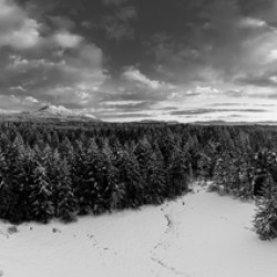 Cowichan Winter - Black & White