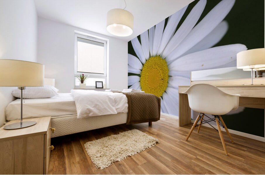 Daisy Cowichan Valley Vancouver Island British Columbia Canada Mural print