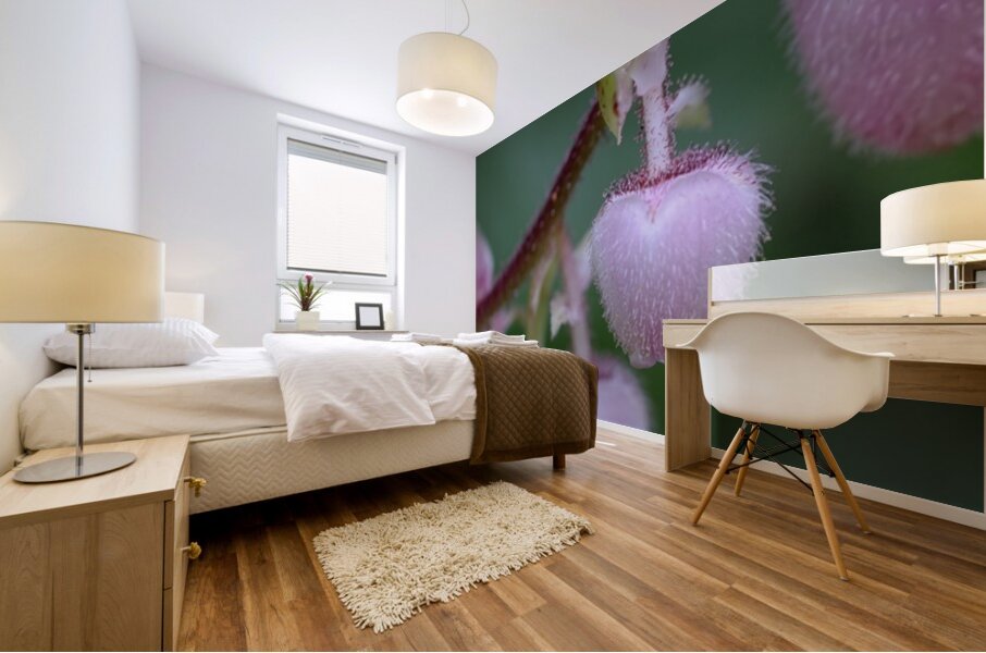 Salal Gaultheria shallon Cowichan Valley Vancouver Island British Columbia Canada Mural print