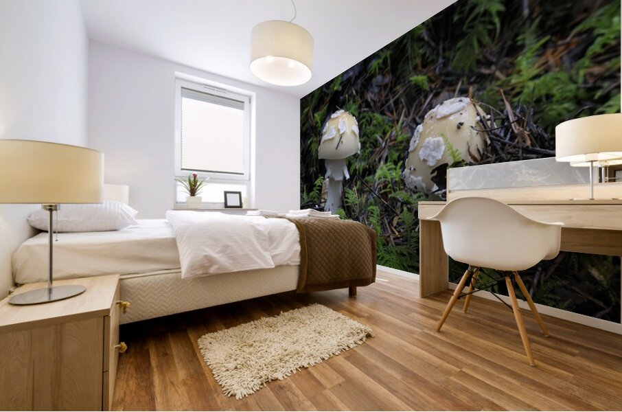 Mushroom Mural print