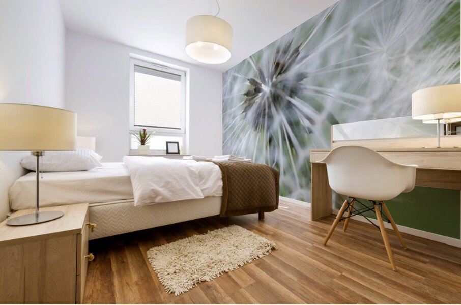 Dandelion Cowichan Valley Vancouver Island British Columbia Canada Mural print