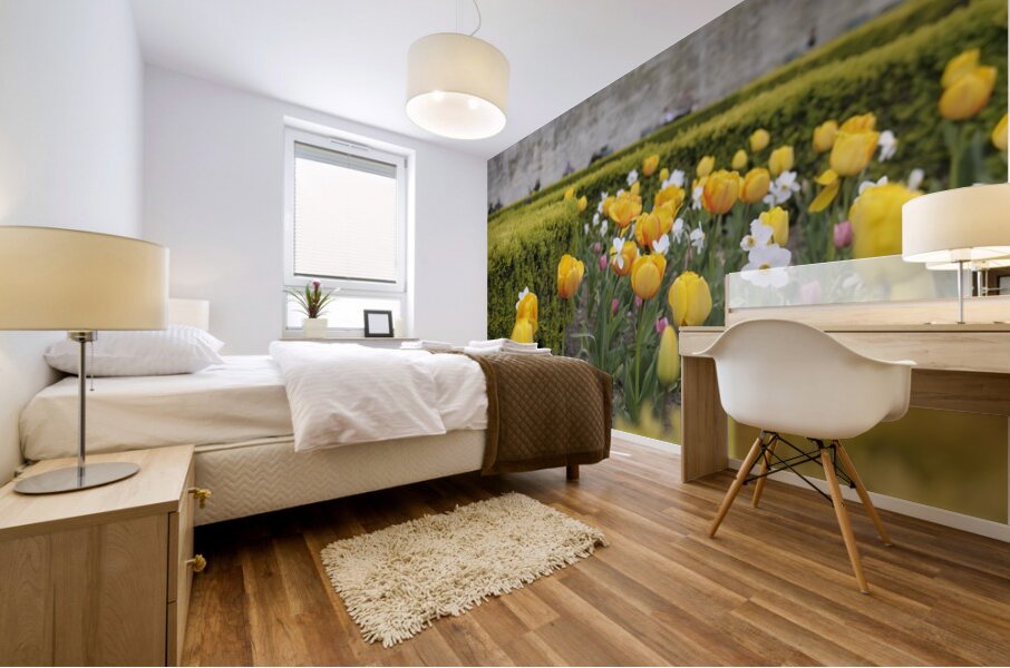 Tulips Jardins des Tuileries - Paris Mural print