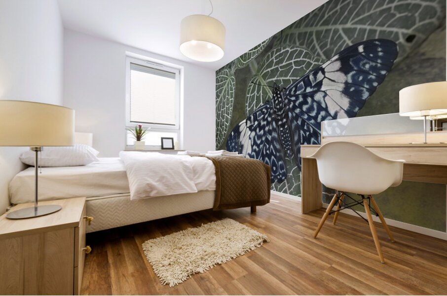 Hamadryas amphinome butterfly at the La Selva Jungle Lodge  Amazon Ecuador Mural print