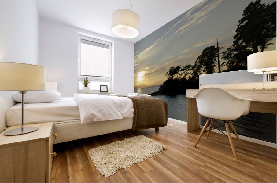 Sunset over Vancouver Island with silhouetted trees Mural print