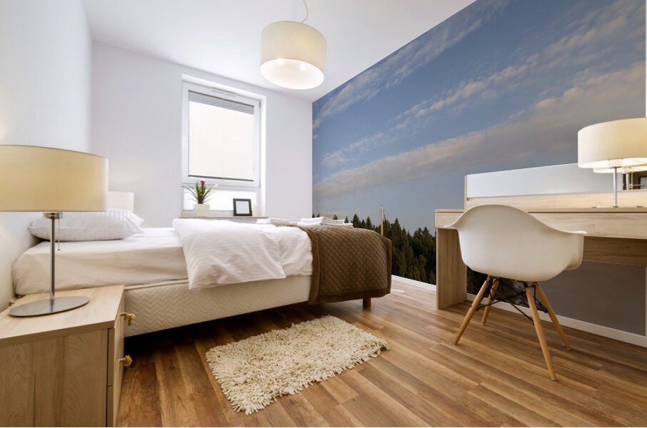 Sailboats at anchor on the west side of Tent Island Mural print