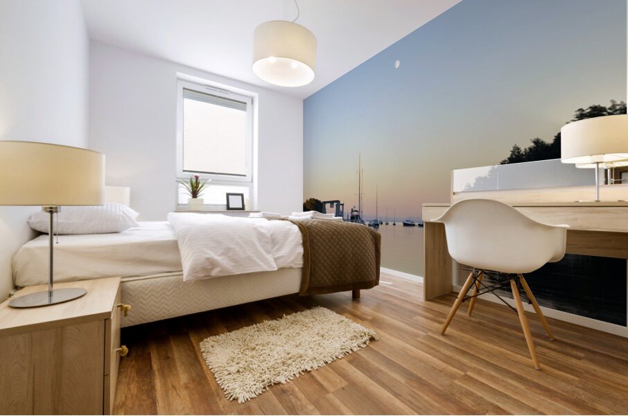 Sucia Island Moonrise - San Juan Islands Mural print