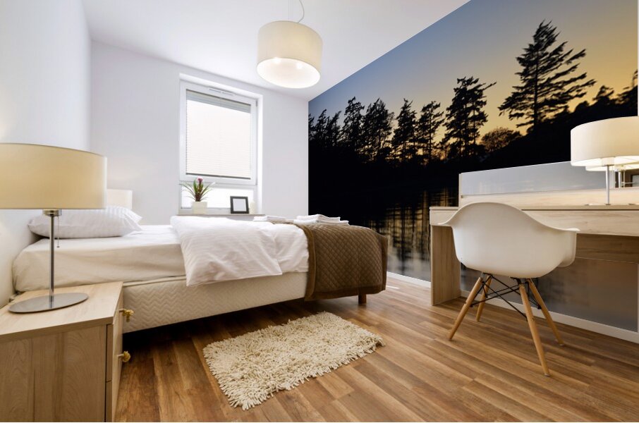 Sucia Island sunset - San Juan Islands Mural print