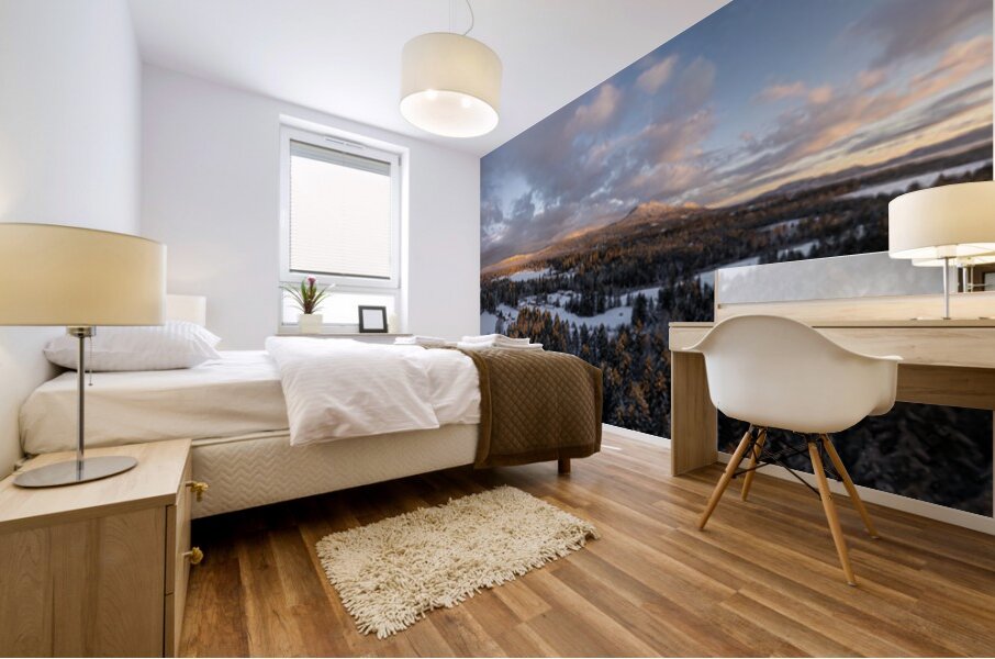 Winter sunrise in the Cowichan Valley Mural print