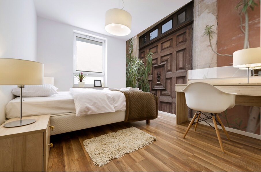 Wooden door with door knocker. Roussillon. France Mural print